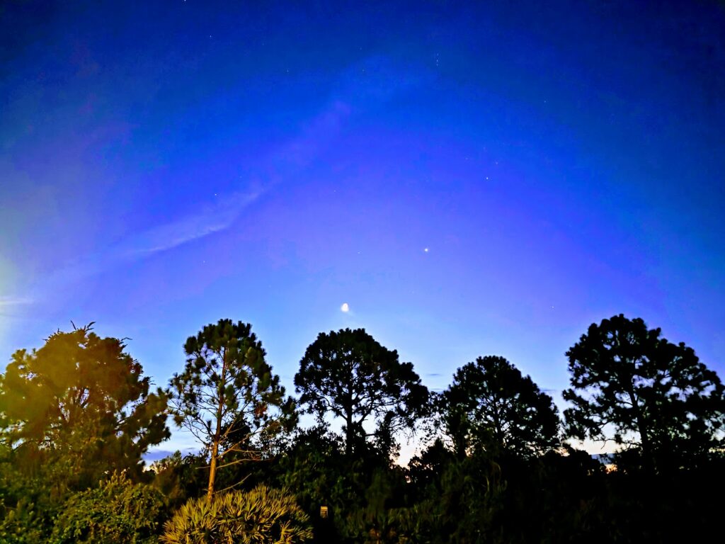 Venus and Jupiter glowing side by side in the dawn sky, captured by astrologer Ambika Devi as part of her reflection on trust, timing, and planetary transits